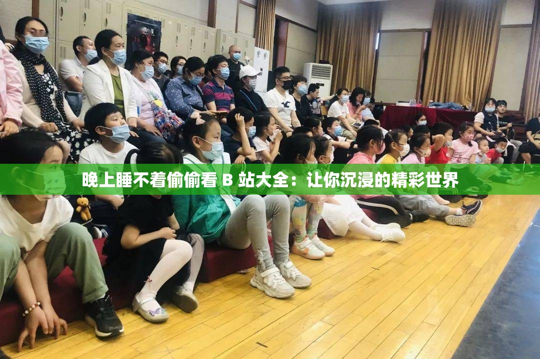 晚上睡不着偷偷看 B 站大全：让你沉浸的精彩世界