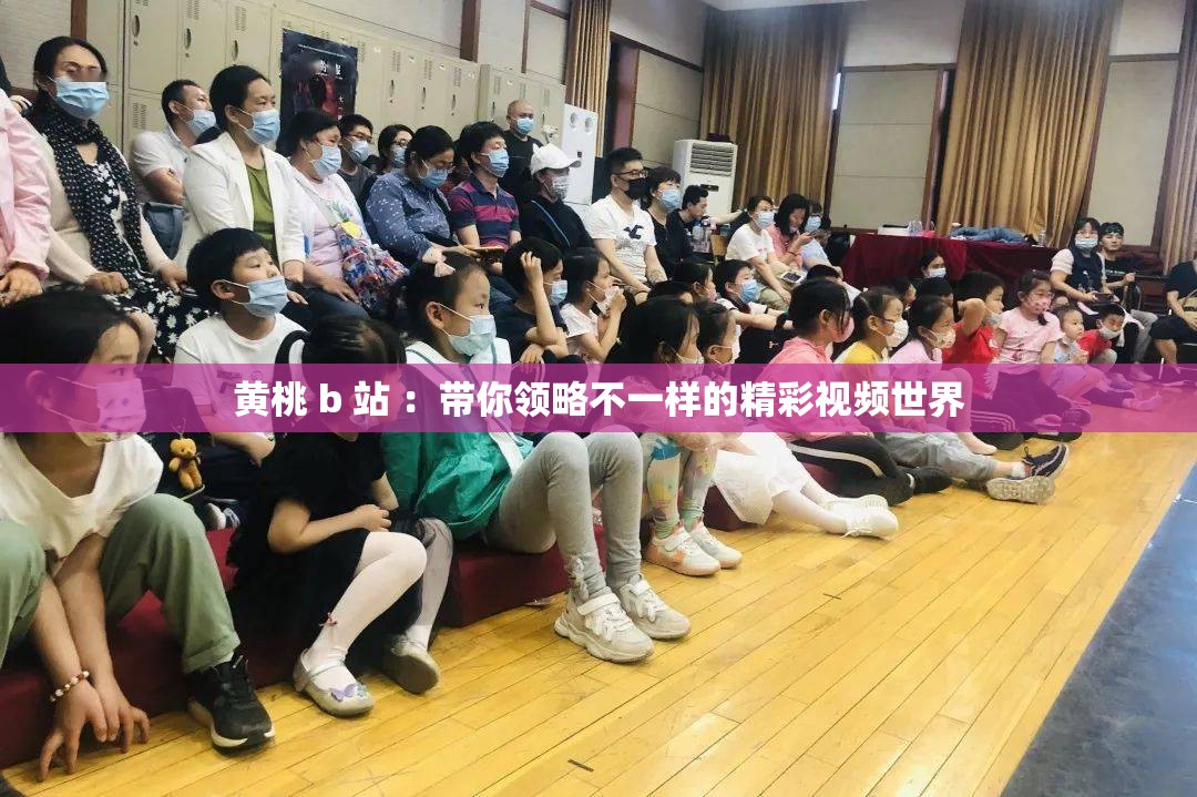黄桃 b 站 ：带你领略不一样的精彩视频世界