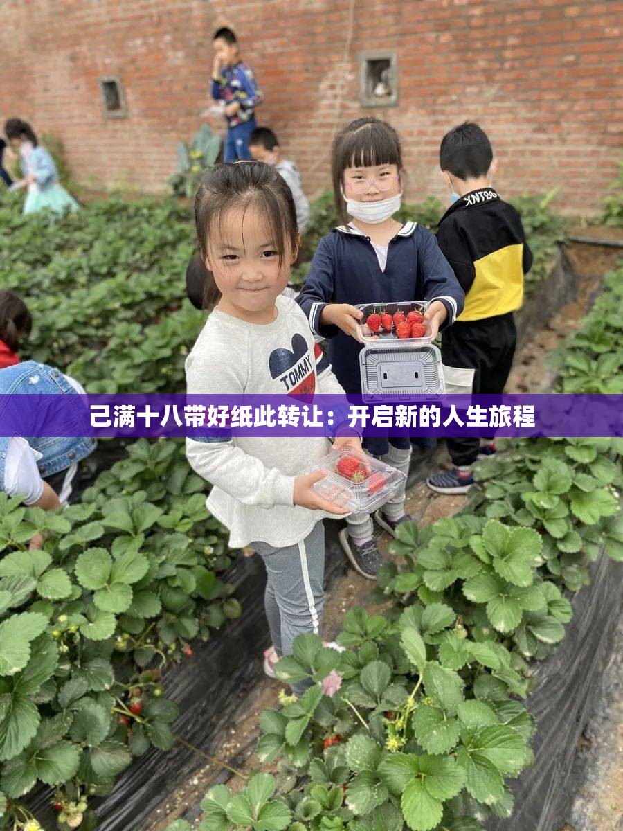 己满十八带好纸此转让：开启新的人生旅程