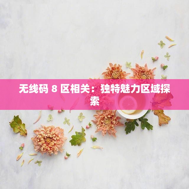 无线码 8 区相关：独特魅力区域探索
